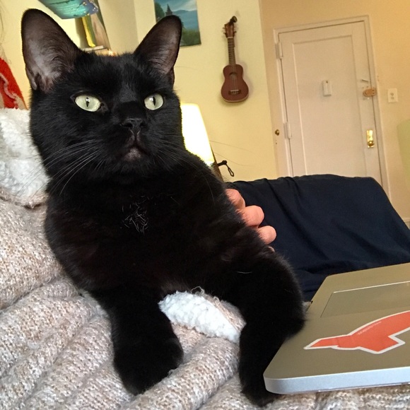 Meet the Posher - Picture 3 of 3